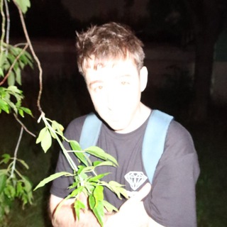 Telegram profile photo for Envtn🕊