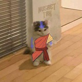 Telegram profile photo for kyy