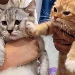 Telegram profile photo for канал с Олегом
