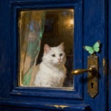 Telegram profile photo for https://t.me/lllqlllpll