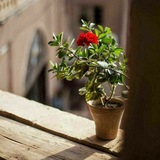 Telegram profile photo for Фото фони, для історій🌷
