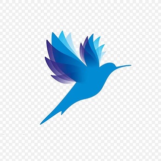 Telegram profile photo for 安卓VPN 电脑加速器 苹果小火箭