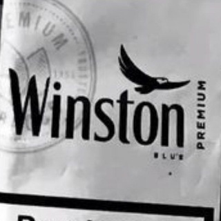 Telegram profile photo for Winston Python