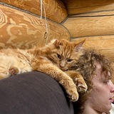 Telegram profile photo for гучибандана