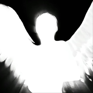 Telegram profile photo for дырка SkireX