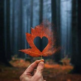 Telegram profile photo for احلى كلام وعبر✧♥‿♥ •