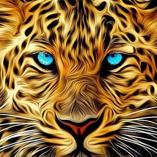 Telegram profile photo for اغاني سوريه