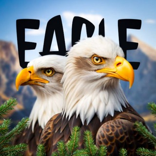Telegram profile photo for Big Bear Bald Eagle Community