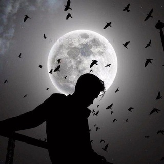 Telegram profile photo for هدوء