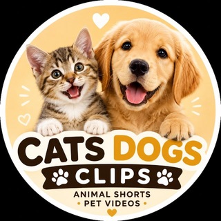 Telegram profile photo for Cats Dogs Clips • Animal Shorts • Pet Videos