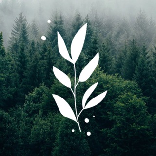 Telegram profile photo for Ресторан уральской кухни «Зверобой»