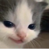 Telegram profile photo for Злодейства и планы