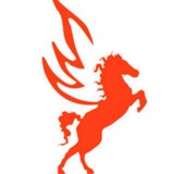 Telegram profile photo for BARSAM Channel