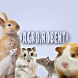 Telegram profile photo for 😈•agro.robent•😈