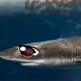 Telegram profile photo for Жыжа слизи онлайн 🔴