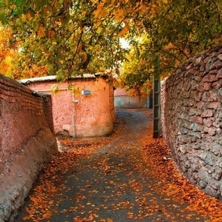 Telegram profile photo for آکادمی برتر رشد