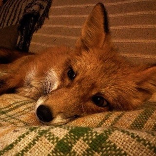 Telegram profile photo for Viki & CO.