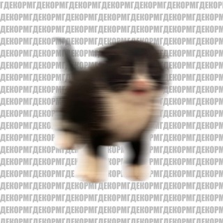 Telegram profile photo for Моня сегодня…