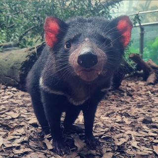 Telegram profile photo for Кокни моря не видел