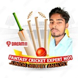 Telegram profile photo for FANTASY CRICKET EXPERT_NO1_real