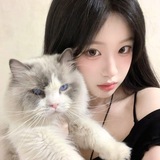 Telegram profile photo for 来飞机赚钱就做自助洗红包🧧