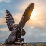 Telegram profile photo for КМВ | Новости | Происшествия | Видео