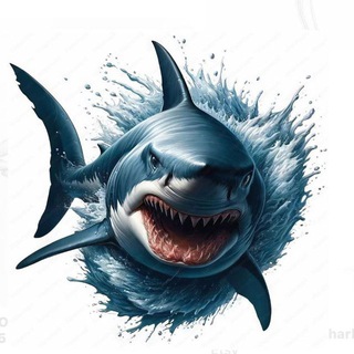 Telegram profile photo for 中文 ASIAN WHALES 🐳