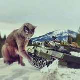 Telegram profile photo for 🇷🇺 /ArmyRF news