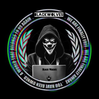 Telegram profile photo for BlackWolves | تیم سایبری
