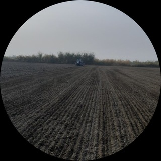 Telegram profile photo for Imomov Shavkat Jakhonovich