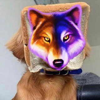 Telegram profile photo for креативы от nyprivet