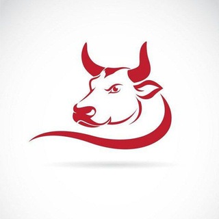 Telegram profile photo for Bull Fighter / Signal Free