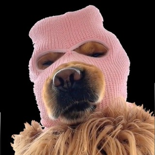 Telegram group profile photo for $SKI_Memes