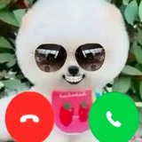 Telegram profile photo for 咕噜熊主频道