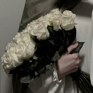 Telegram profile photo for پـروا