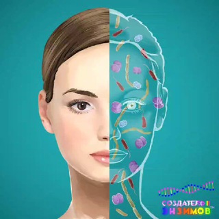 Telegram profile photo for ЧАТ "Создатель Энзимов"