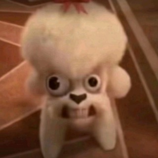 Telegram profile photo for ПЕРЕЕЗД ШАНИ ЙО