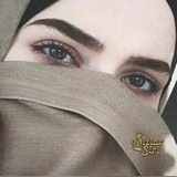 Telegram profile photo for 🕊️🕊️