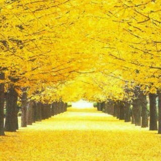 Telegram profile photo for Healing Mysteries ייי