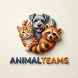 Telegram profile photo for Funniest Animals & Amazing Nature ❤️ AnimalTeams.com 🐻❄️
