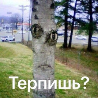 Telegram profile photo for мем с каналами