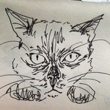 Telegram profile photo for CATISFACTION