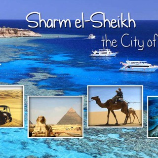 Telegram profile photo for Sharm El Sheikh