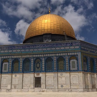 Telegram profile photo for تذكرة 🇵🇸