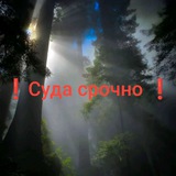 Telegram profile photo for ❗❗ЗАХОДИ СУДА СРОЧНО ❗❗