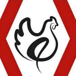 Telegram profile photo for Промокод Ростикс