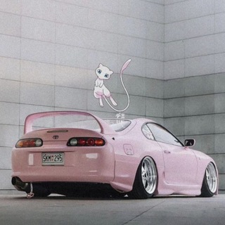 Telegram profile photo for supra ✶