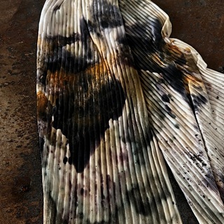Telegram profile photo for new life for clothes