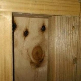 Telegram profile photo for Баня Луда