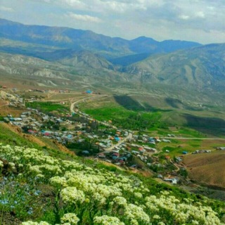 Telegram group profile photo for گروه خبری نیزوای چاشم